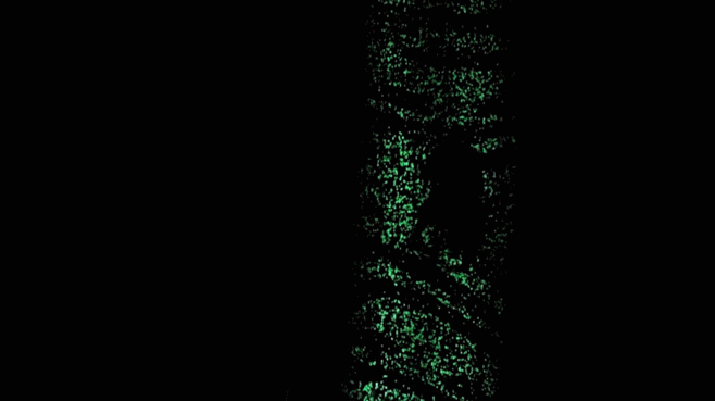 640.gif